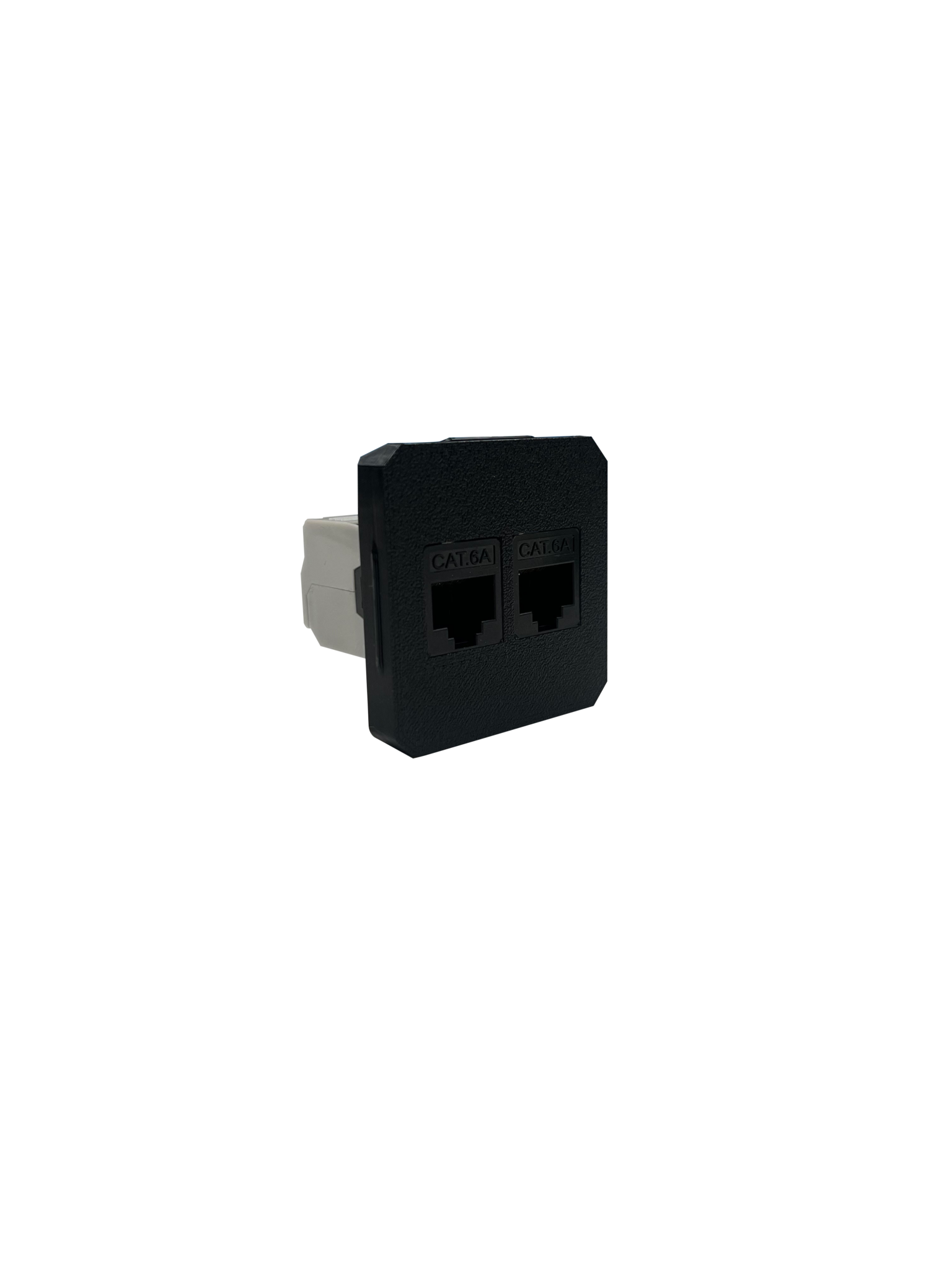 RJ45 2 V ZWART